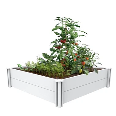 Decorative Flower Pots